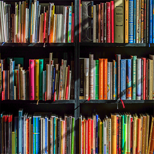 הרבה ספרים בצבעים שונים מסודרים בספריה