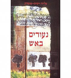 כריכת הספר נעורים באש